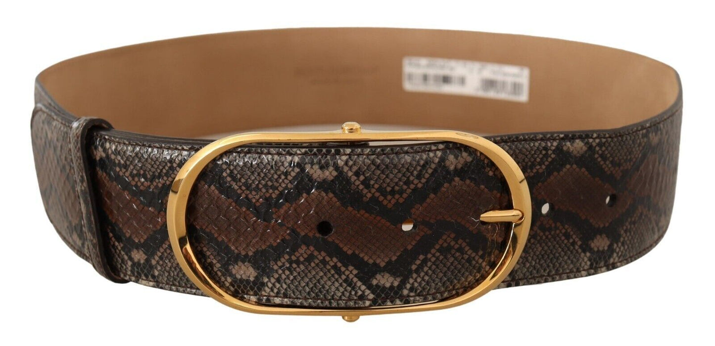 Ceinture élégante en cuir marron Dolce & Gabbana avec boucle dorée