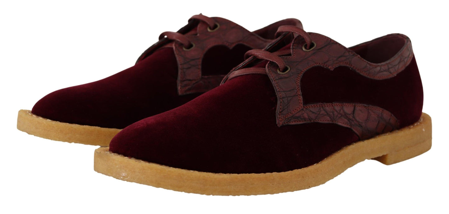 Chaussures habillées élégantes en velours et cuir exotique Dolce & Gabbana