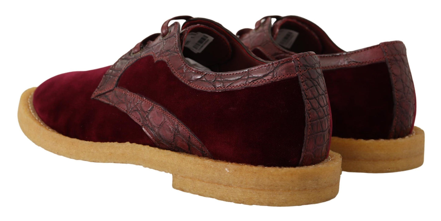 Chaussures habillées élégantes en velours et cuir exotique Dolce & Gabbana