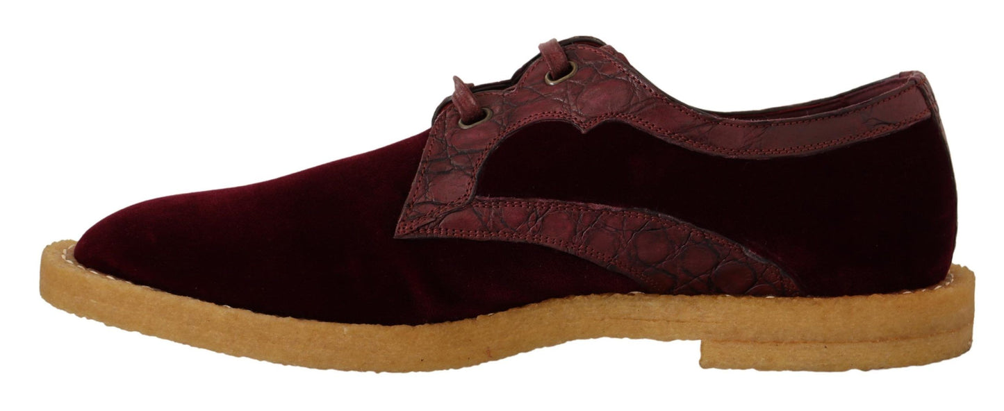 Chaussures habillées élégantes en velours et cuir exotique Dolce & Gabbana