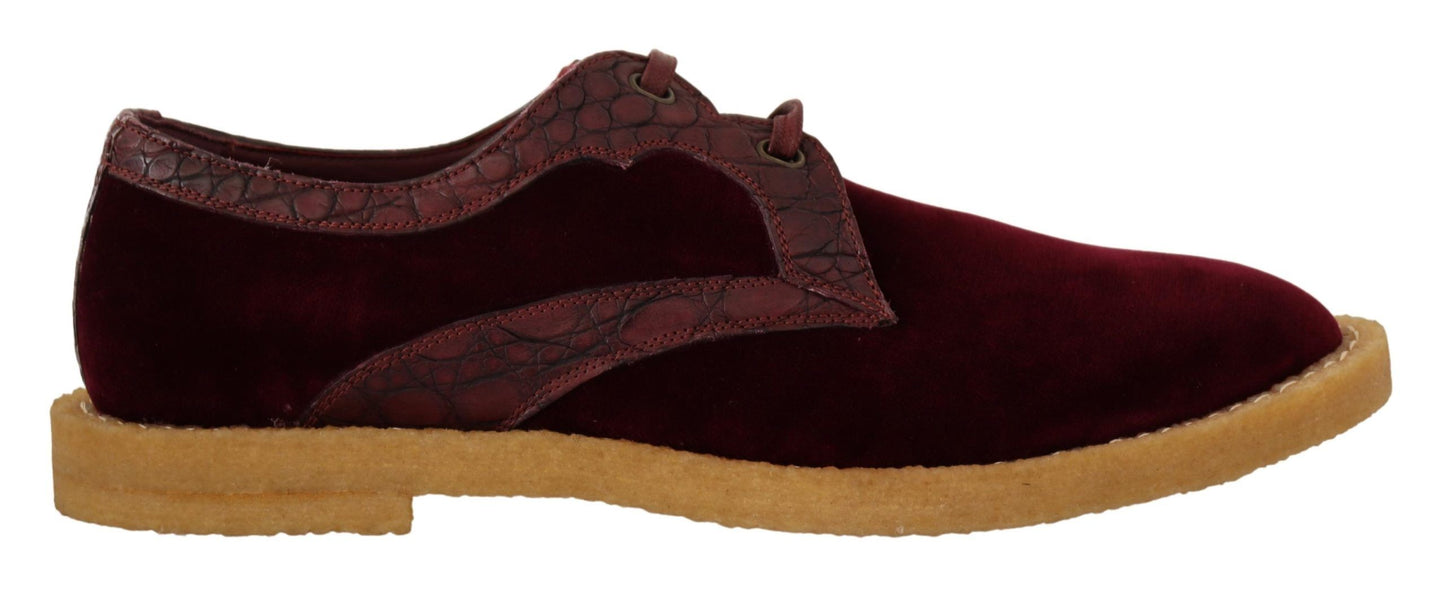 Chaussures habillées élégantes en velours et cuir exotique Dolce & Gabbana