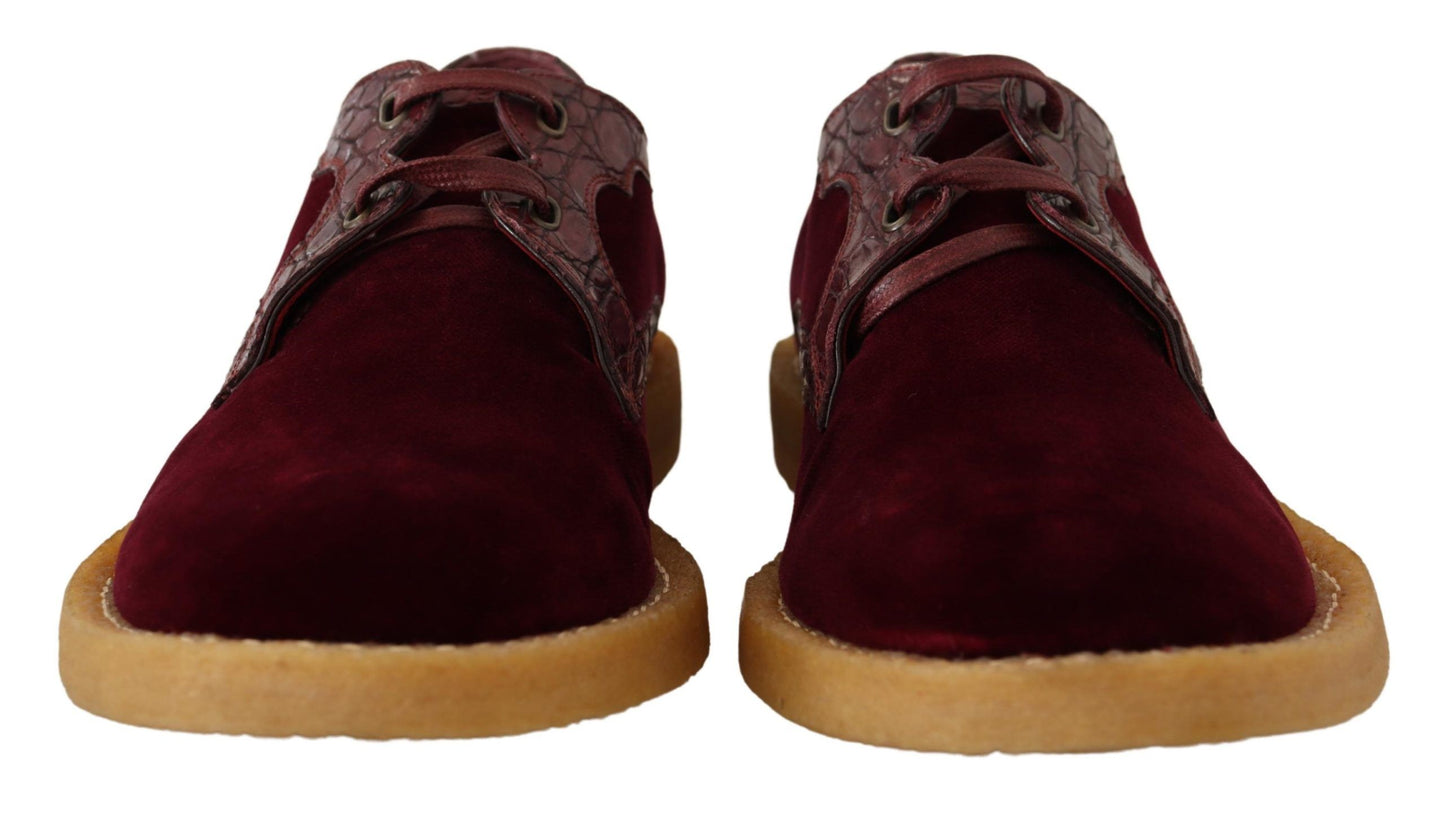 Chaussures habillées élégantes en velours et cuir exotique Dolce & Gabbana