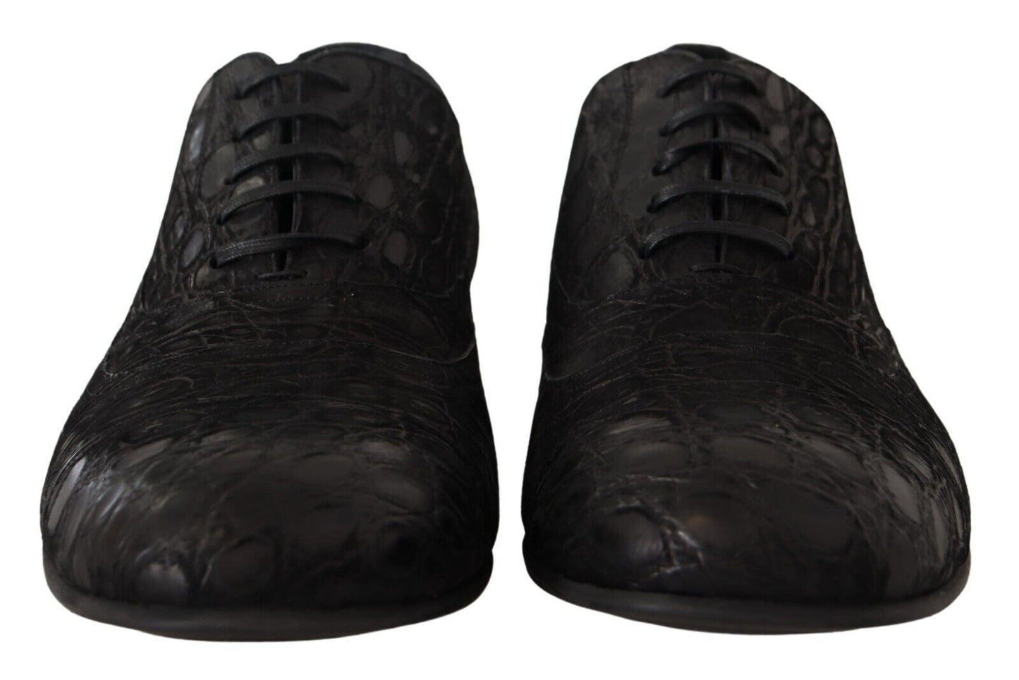 Chaussures Oxford élégantes en cuir exotique Dolce & Gabbana