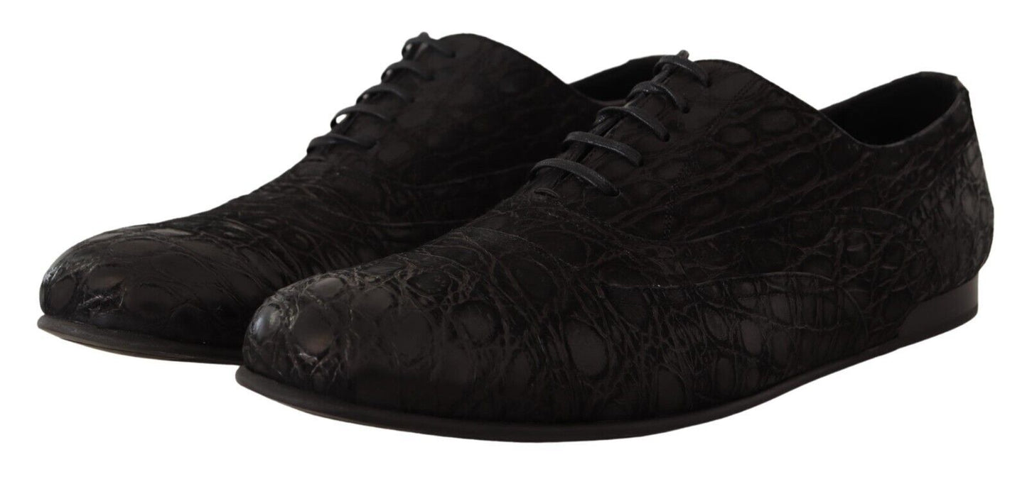 Chaussures Oxford élégantes en cuir exotique Dolce & Gabbana