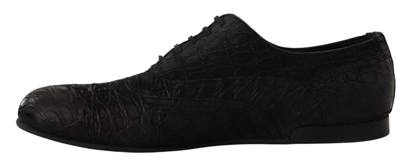 Chaussures Oxford élégantes en cuir exotique Dolce & Gabbana