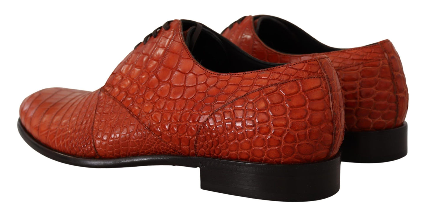 Chaussures habillées à lacets en cuir croco orange exotique Dolce & Gabbana