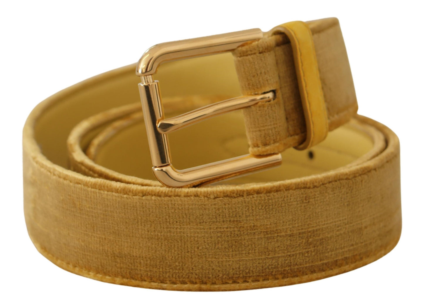 Ceinture élégante en velours à boucle dorée Dolce & Gabbana