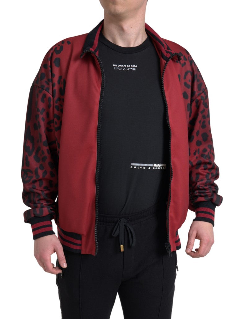 Blouson aviateur rouge à imprimé léopard Dolce & Gabbana