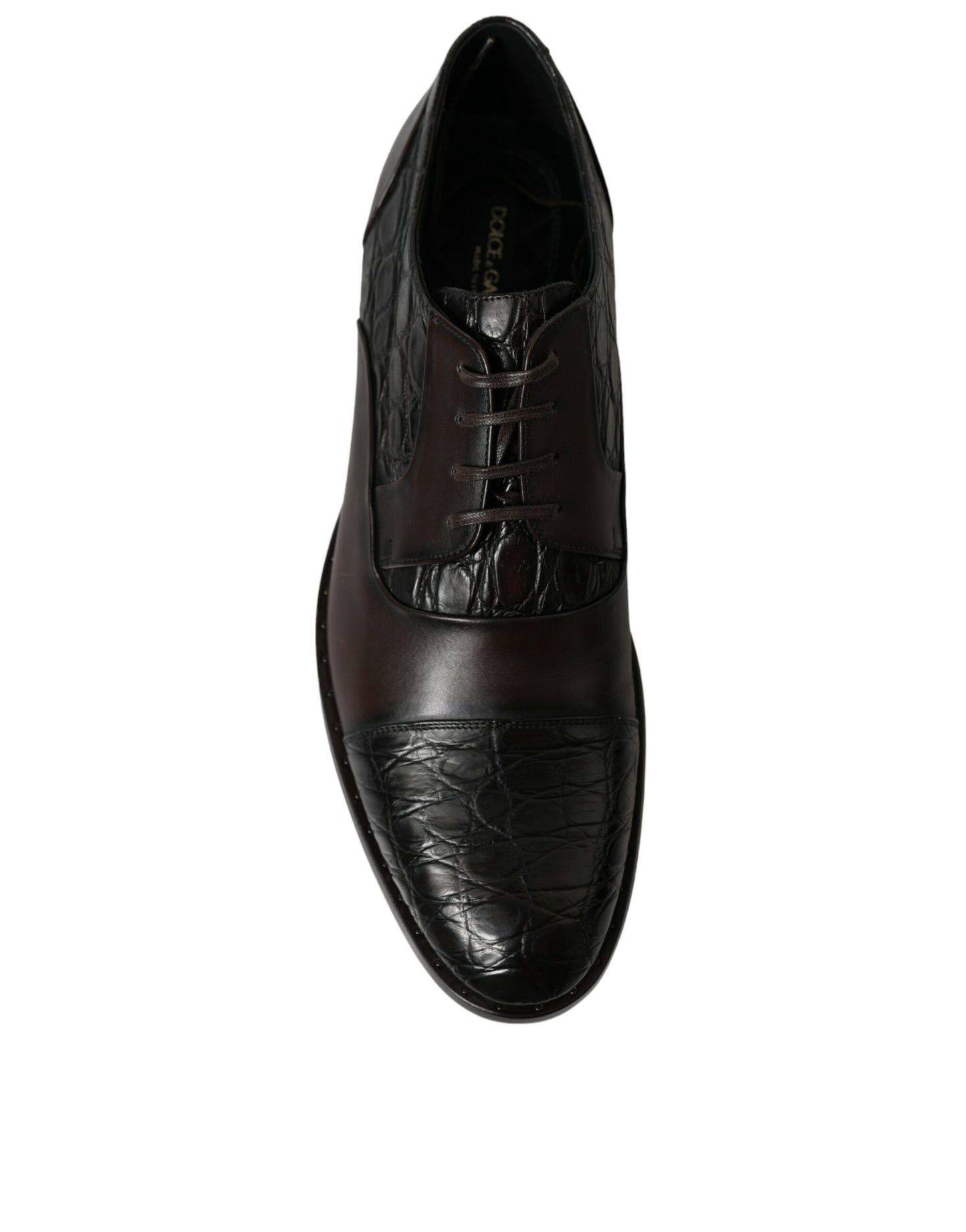 Chaussures habillées Derby marron élégantes Dolce & Gabbana