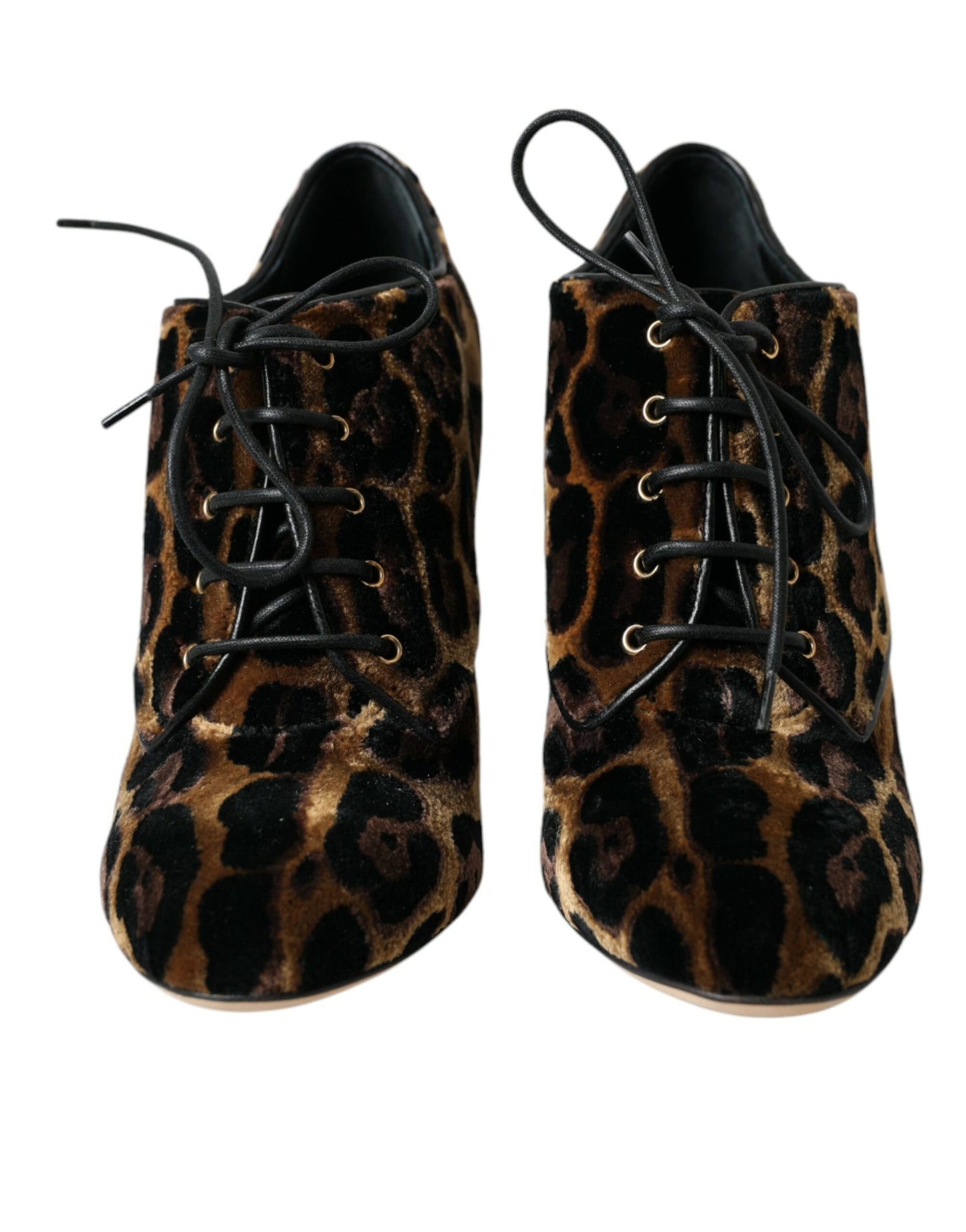 Bottines à lacets à motif léopard marron Dolce & Gabbana