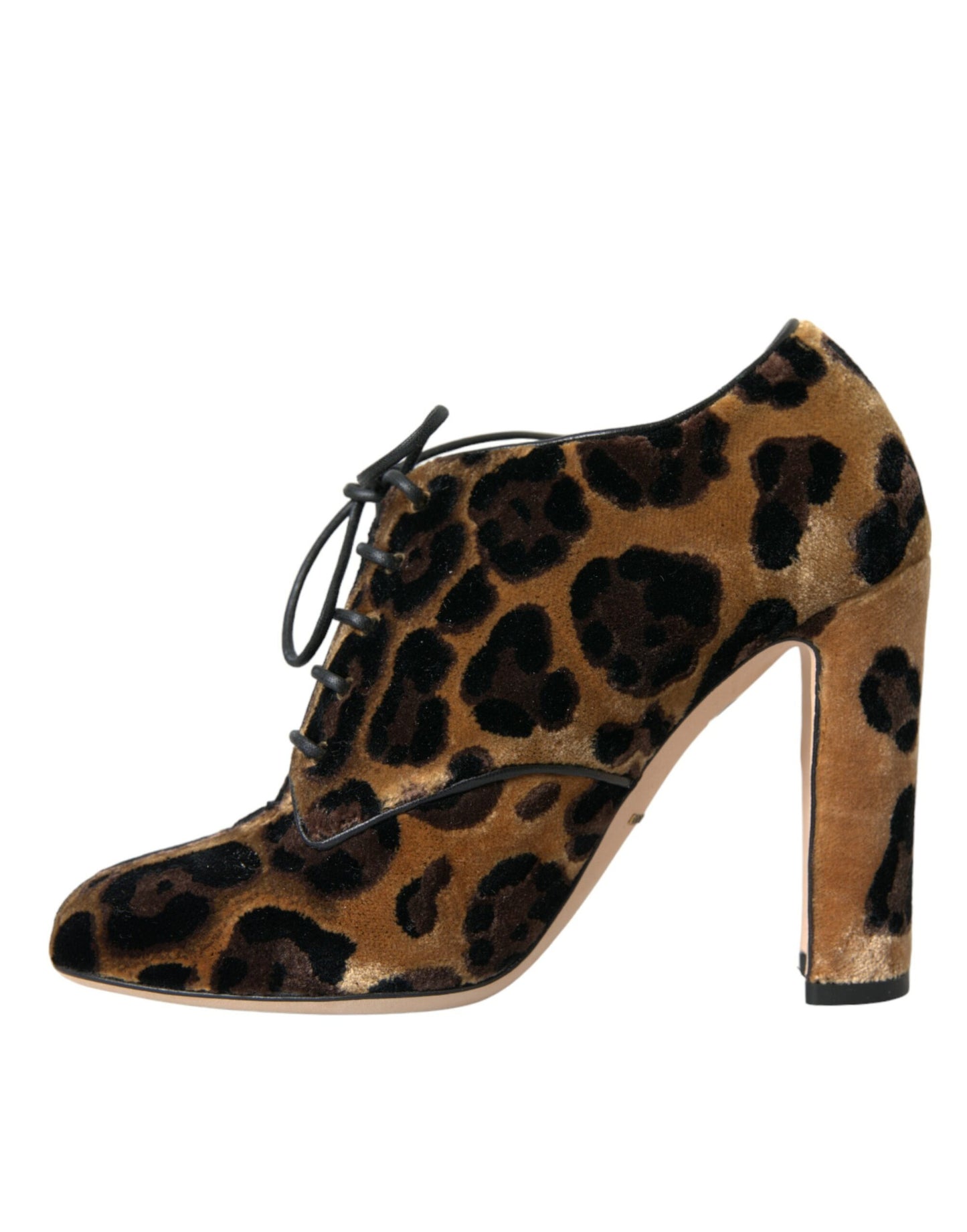 Bottines à lacets à motif léopard marron Dolce & Gabbana