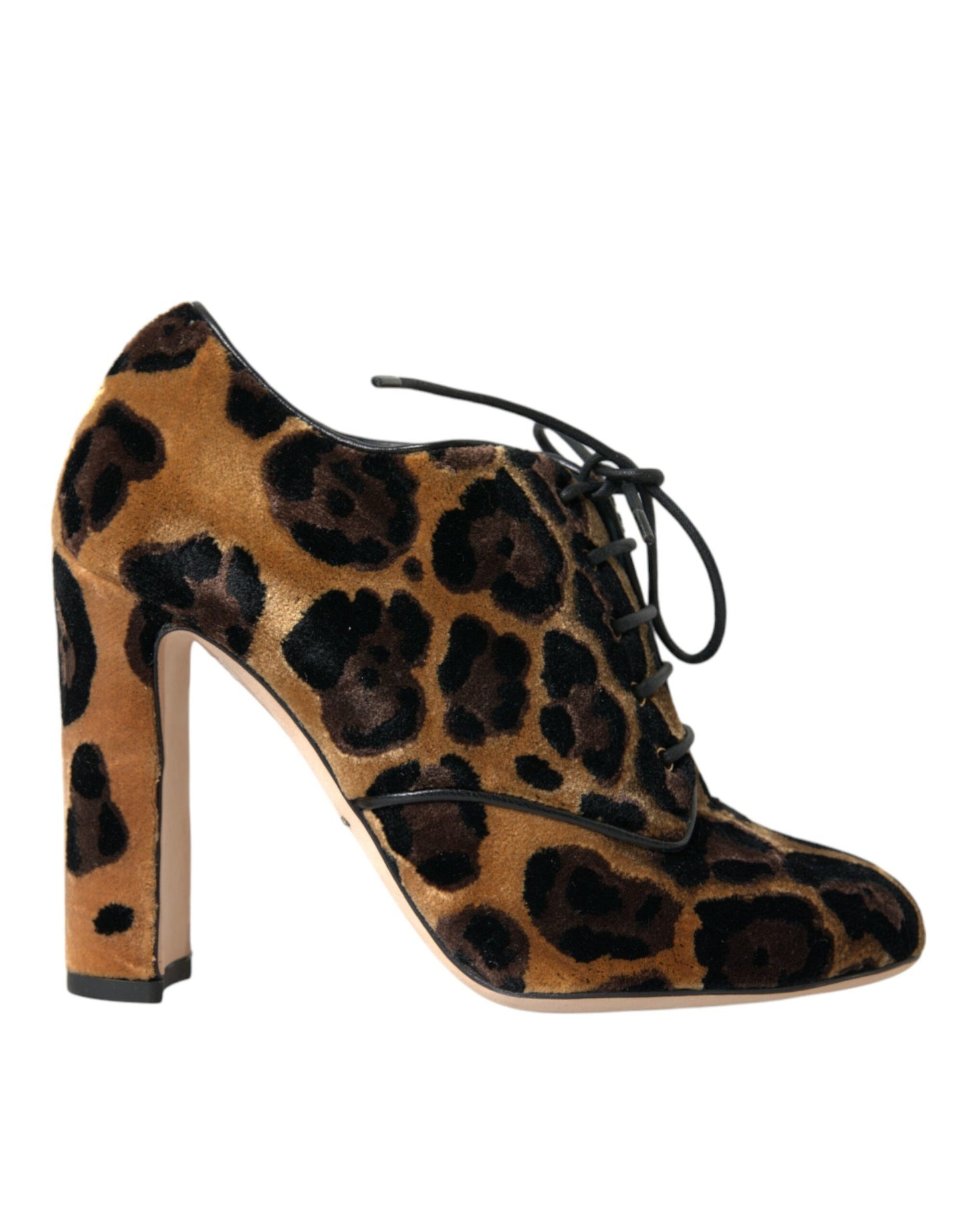 Bottines à lacets à motif léopard marron Dolce & Gabbana
