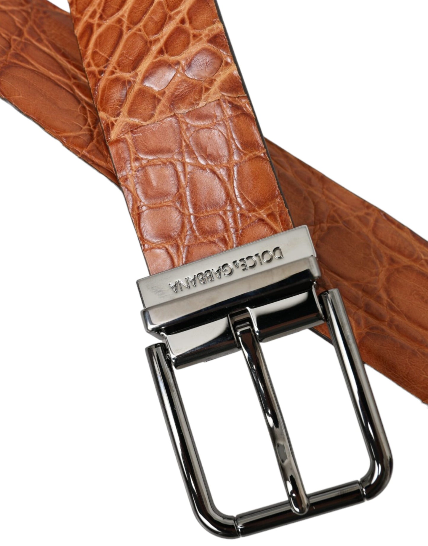 Ceinture Dolce & Gabbana en cuir exotique marron avec boucle en métal argenté