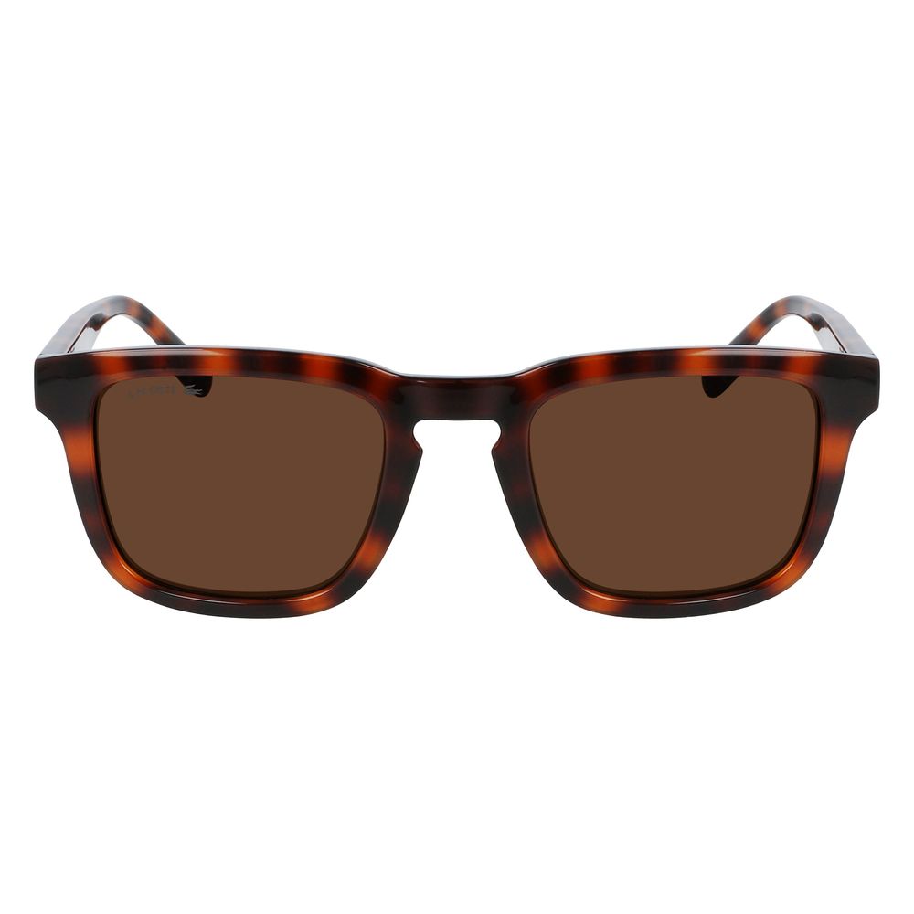 Lunettes de soleil Lacoste marron injectées
