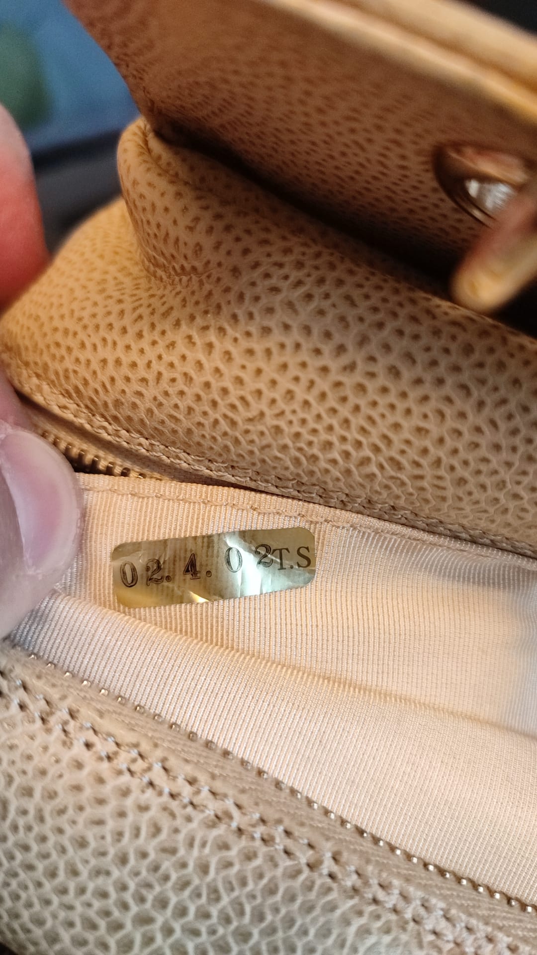 Sac à main Chanel en cuir beige Caviar De Coco avec chaîne