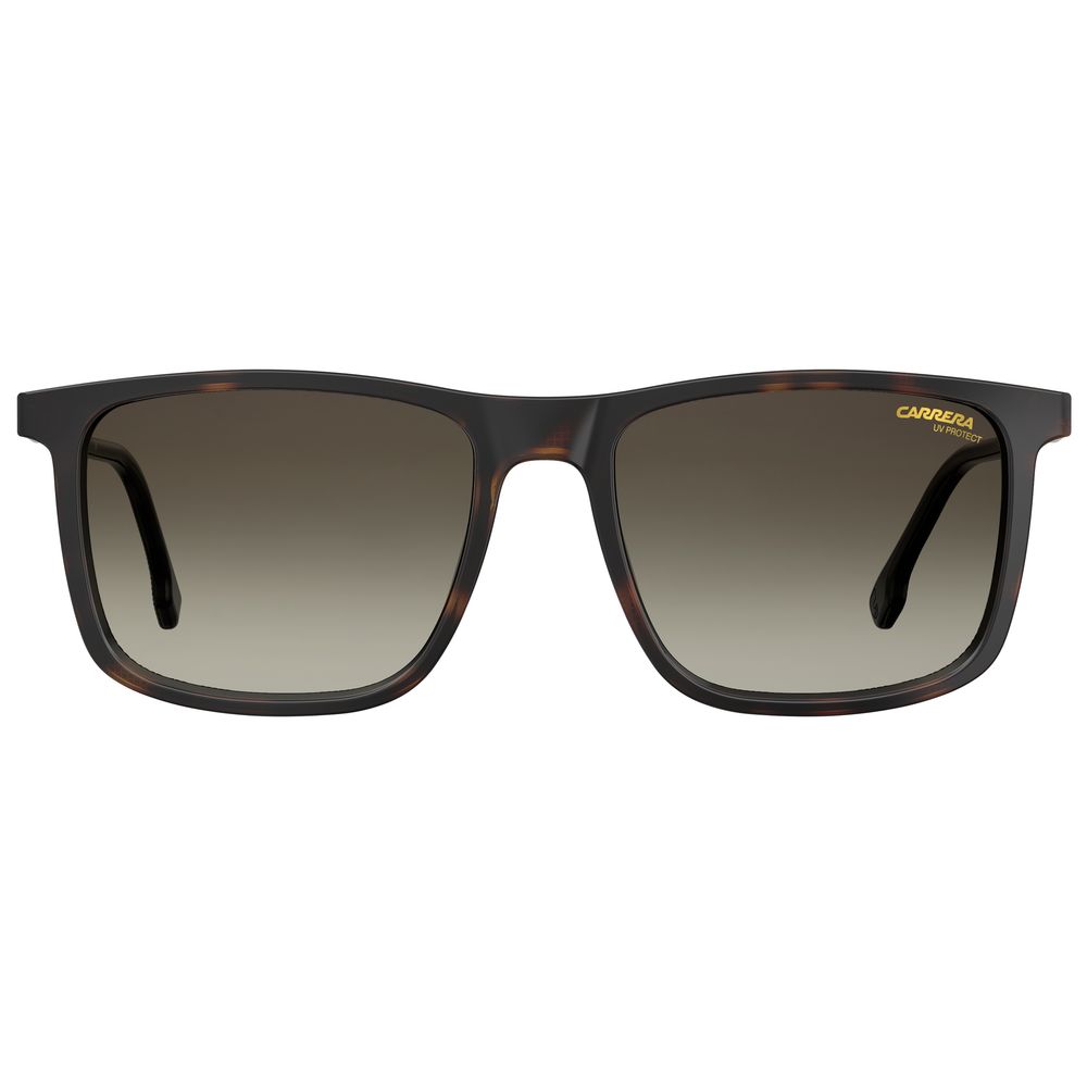 Lunettes de soleil Carrera marron injectées
