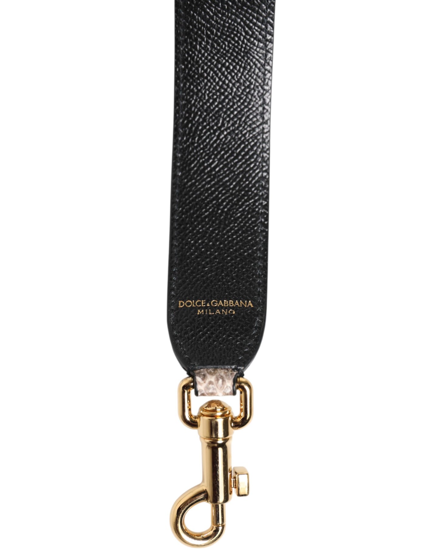 Bandoulière multicolore Dolce & Gabbana DG AMORE Patch Bag Accessory