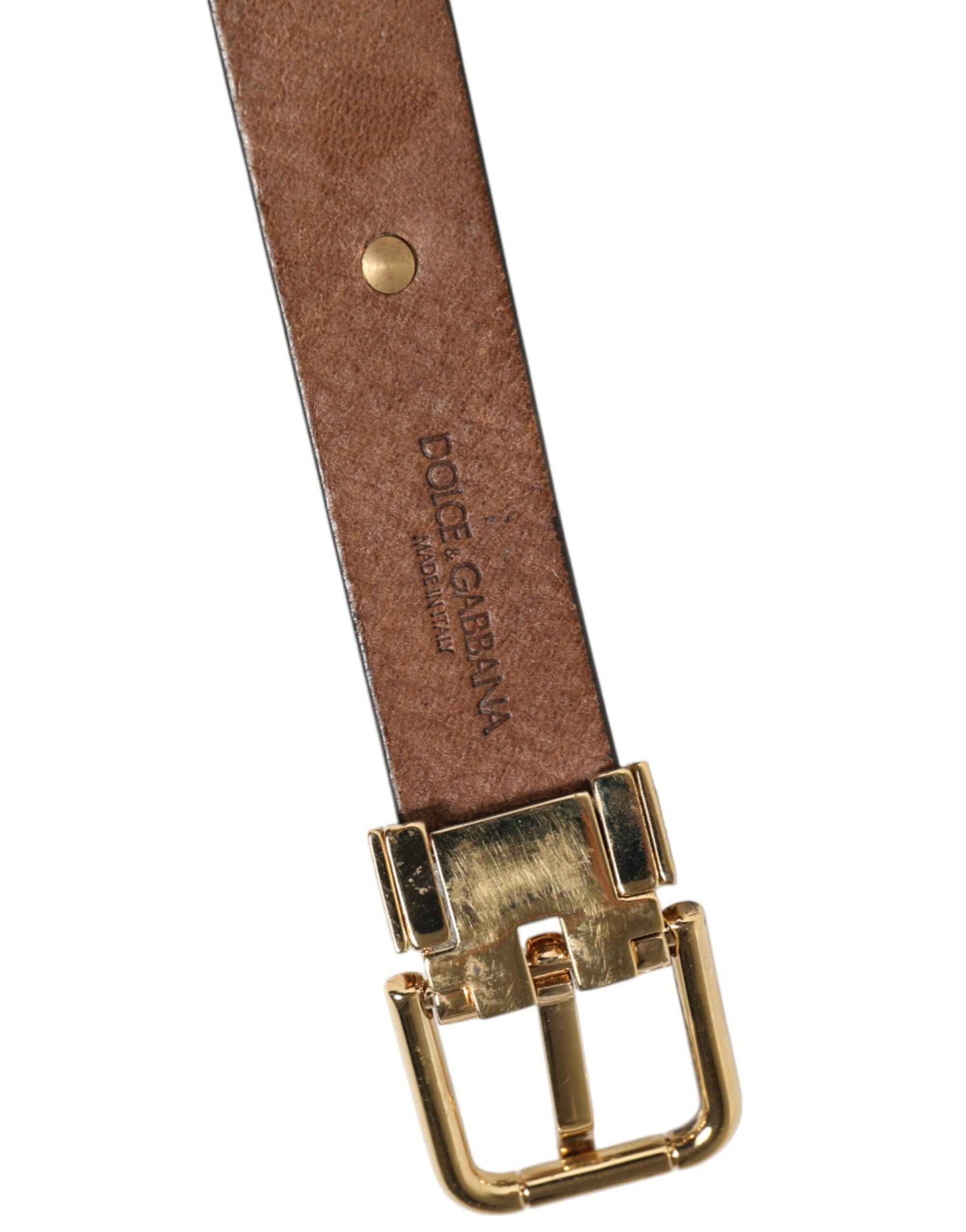 Dolce & Gabbana Leren Riem Met Gouden Munten Gesp Bruin
