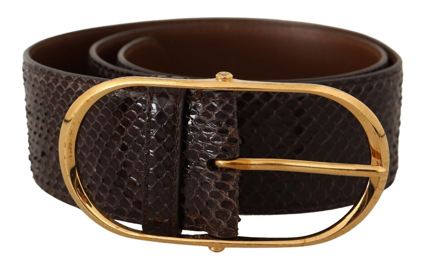 Ceinture élégante en cuir de python Dolce &amp; Gabbana avec boucle dorée