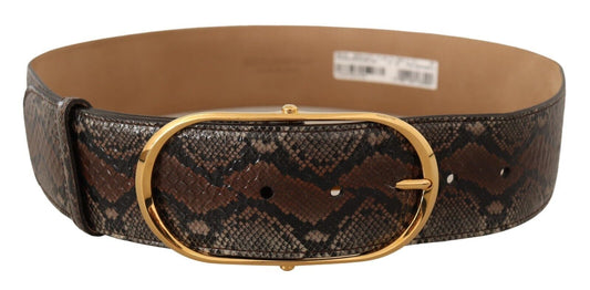 Ceinture élégante en cuir marron Dolce &amp; Gabbana avec boucle dorée