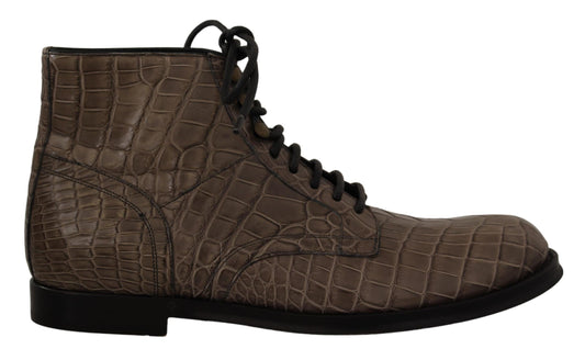 Bottes Derby Brogue élégantes en crocodile Dolce &amp; Gabbana