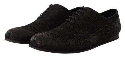 Chaussures Oxford élégantes en cuir exotique Dolce &amp; Gabbana