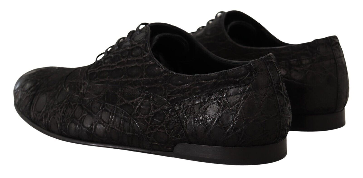 Chaussures Oxford élégantes en cuir exotique Dolce &amp; Gabbana