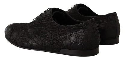 Chaussures Oxford élégantes en cuir exotique Dolce &amp; Gabbana