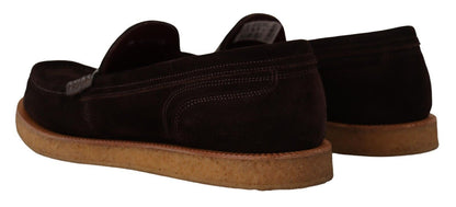 Mocassins élégants en daim et crocodile Dolce &amp; Gabbana marron