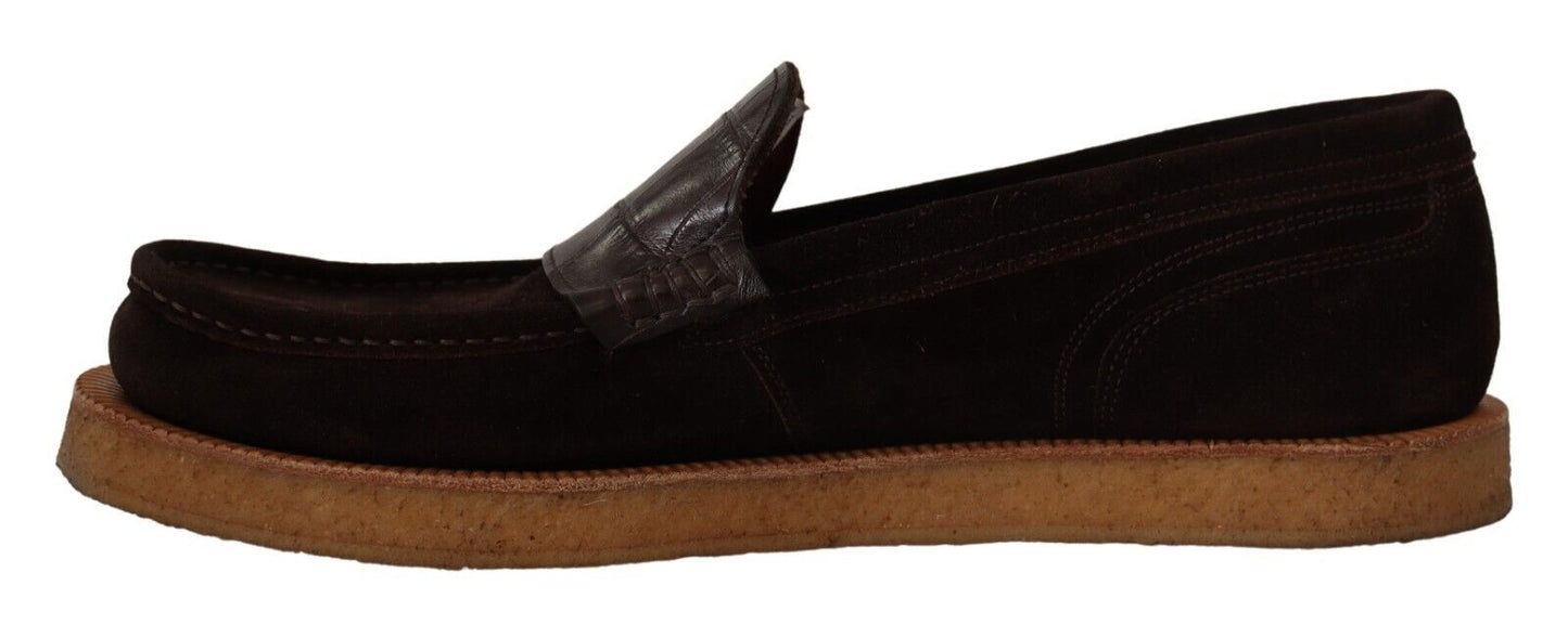 Mocassins élégants en daim et crocodile Dolce &amp; Gabbana marron