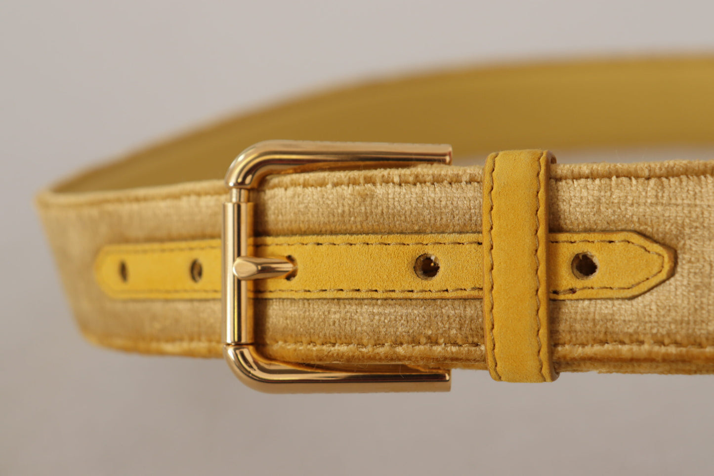 Ceinture élégante en velours à boucle dorée Dolce &amp; Gabbana