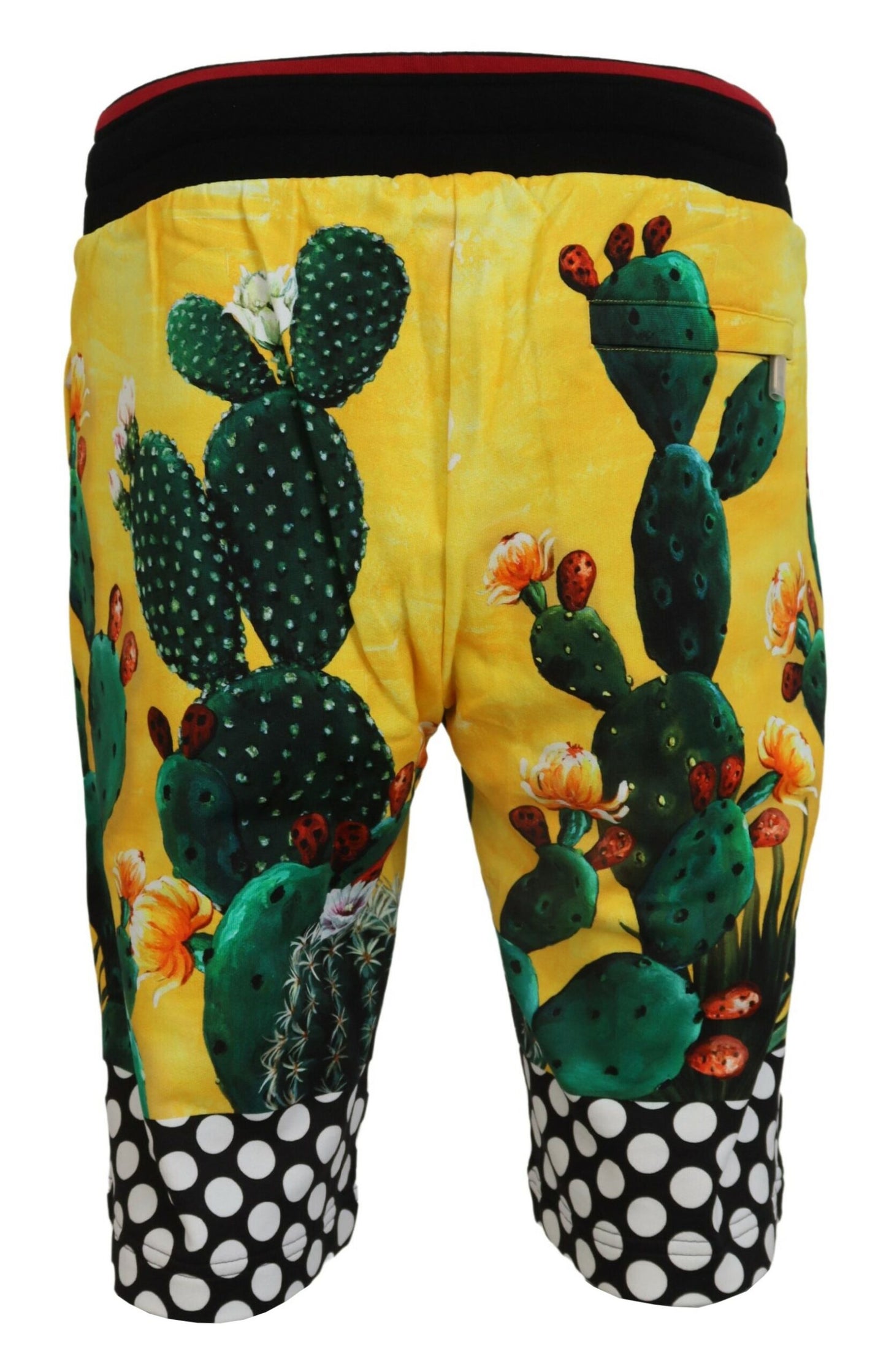 Short de survêtement Dolce &amp; Gabbana à imprimé cactus multicolore