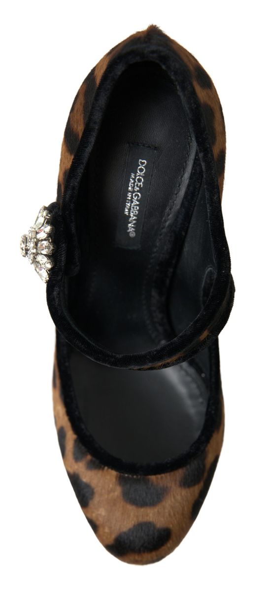 Dolce &amp; Gabbana Black Brown Calf Leopard Heel Mary Jane Pump Shoes