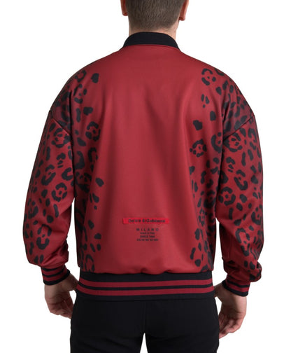 Blouson aviateur rouge à imprimé léopard Dolce &amp; Gabbana