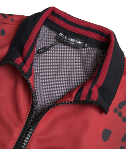 Blouson aviateur rouge à imprimé léopard Dolce &amp; Gabbana