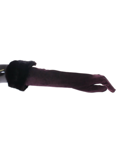 Gants élégants en fourrure violette Dolce &amp; Gabbana jusqu'aux coudes