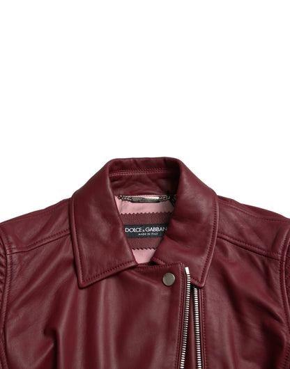 Veste motard en cuir bordeaux Dolce &amp; Gabbana