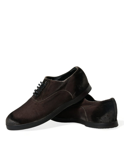 Chaussures Oxford à lacets en velours marron élégantes Dolce &amp; Gabbana