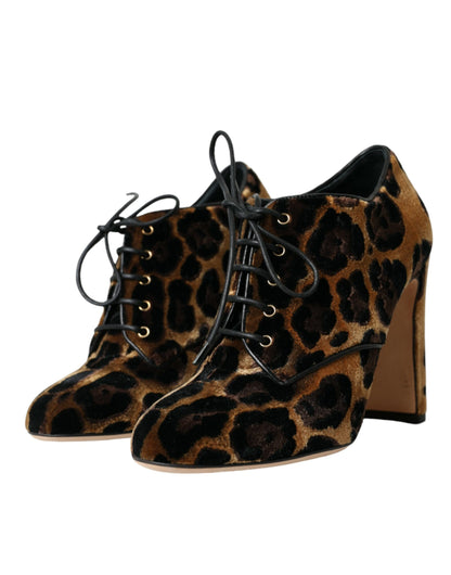 Bottines à lacets à motif léopard marron Dolce &amp; Gabbana