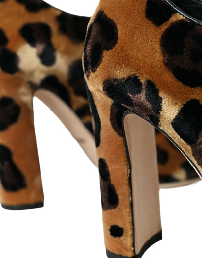 Bottines à lacets à motif léopard marron Dolce &amp; Gabbana