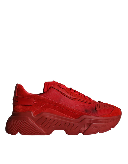 Baskets basses Daymaster en cuir rouge Dolce &amp; Gabbana