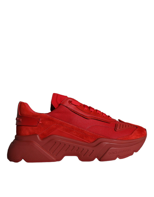 Baskets basses Daymaster en cuir rouge Dolce &amp; Gabbana