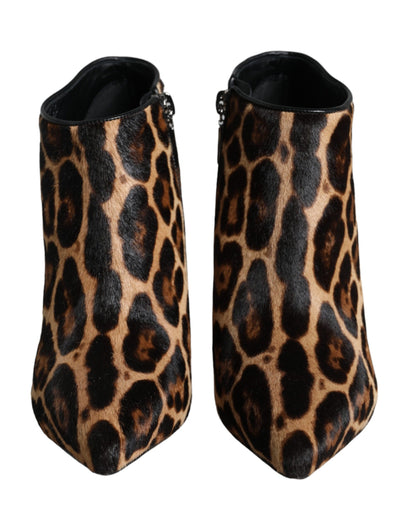 Bottines à talons en fourrure de veau léopard marron Dolce &amp; Gabbana