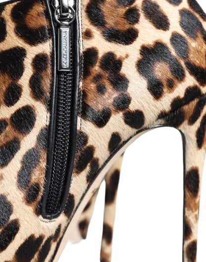 Bottines à talons en fourrure de veau léopard marron Dolce &amp; Gabbana
