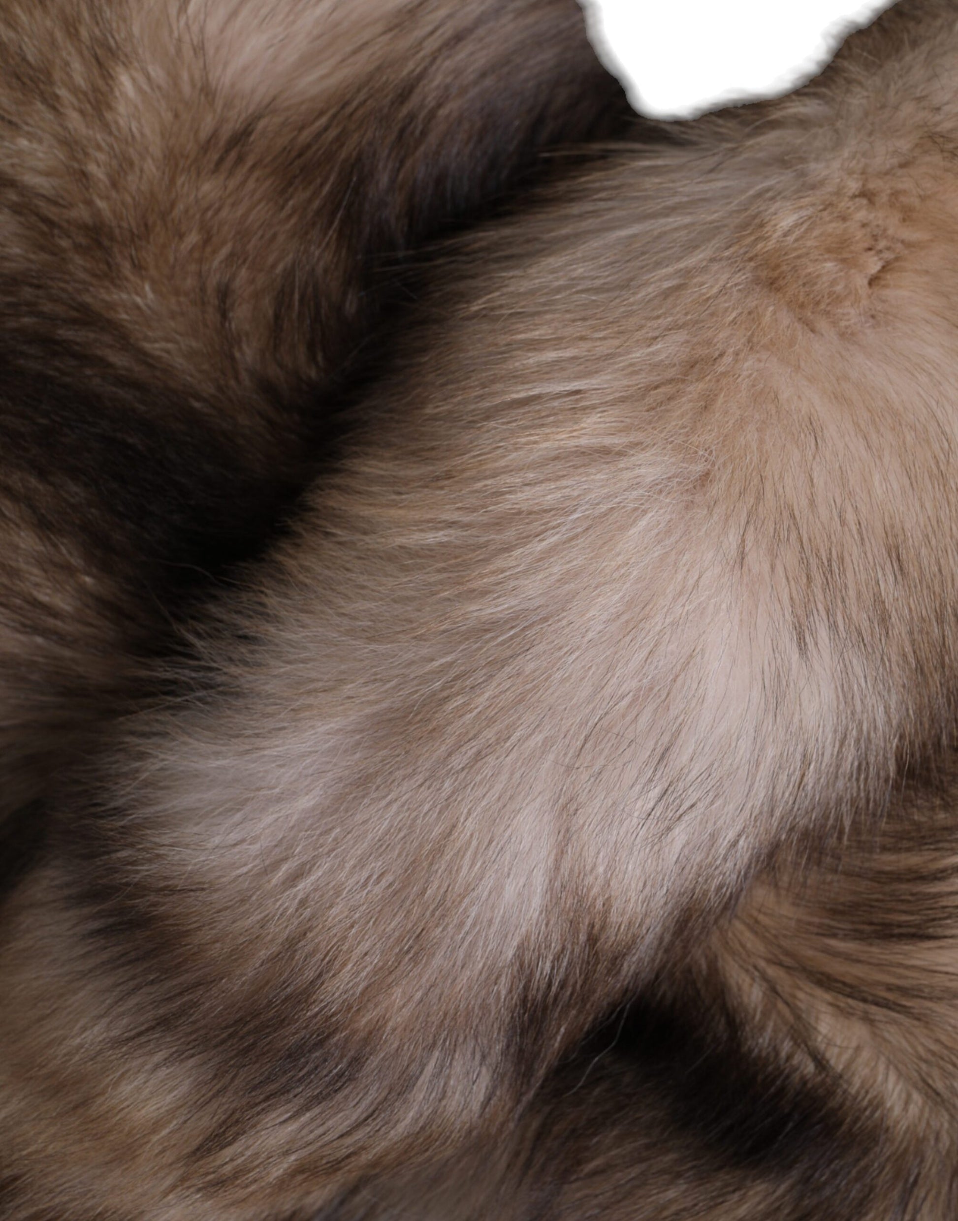 Dolce & Gabbana Brown Frost Fox Fur Neck Warmer Winter Scarf by Dolce & Gabbana