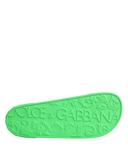 Sandales à enfiler en cuir vert Dolce &amp; Gabbana, chaussures de plage