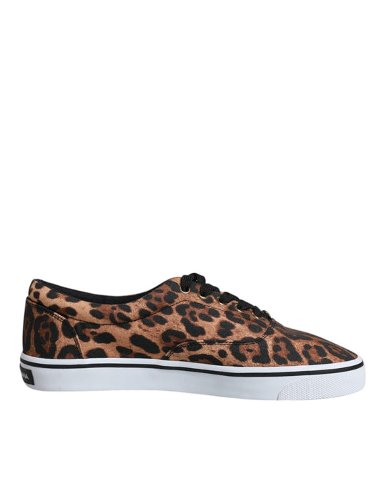 Dolce & Gabbana Brown Leopard Logo Print Cotton Sneakers Shoes by Dolce & Gabbana