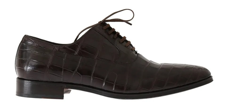 Chaussures habillées en cuir marron à motifs Dolce &amp; Gabbana