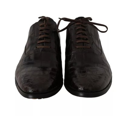 Chaussures habillées en cuir marron à motifs Dolce &amp; Gabbana