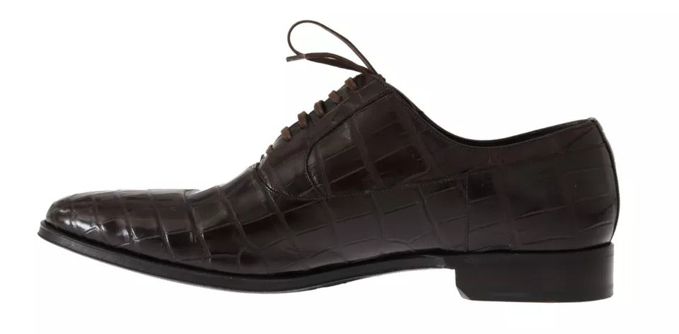 Chaussures habillées en cuir marron à motifs Dolce &amp; Gabbana
